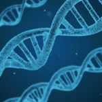 ミジンコの遺伝子は人間の遺伝子よりも多い？遺伝子とDNAの違いについて